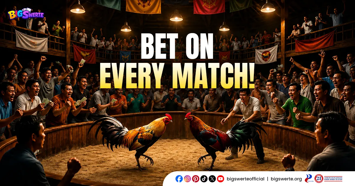 Big Swerte Games Online Sabong Live Matches and Real-Time Betting