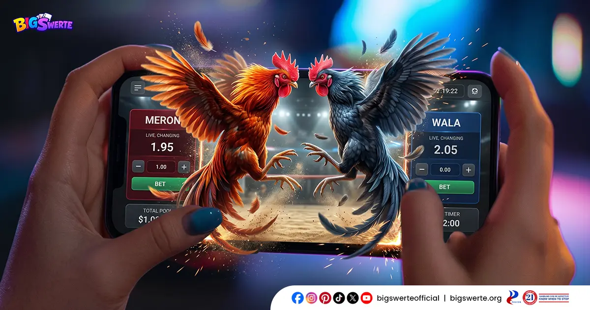 Player Enjoying Big Swerte Online Sabong Live Match on Mobile